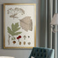 Leaves & Berries II - Modern Framed Canvas Print