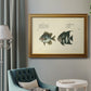 Bloch Antique Fish II Premium Framed Canvas- Ready to Hang