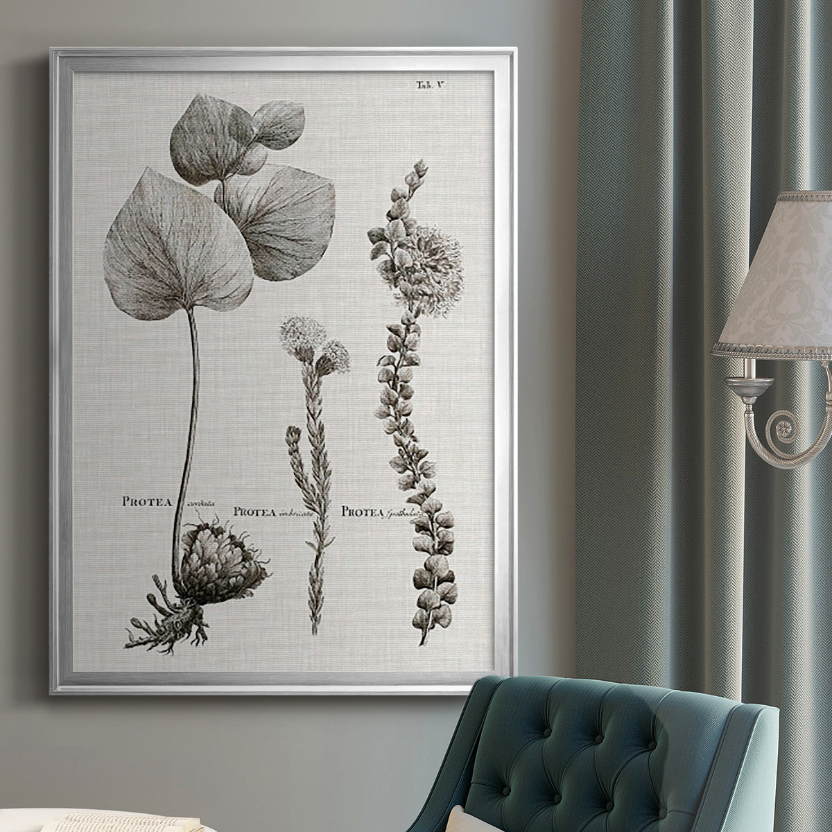 Black & White Protea on Linen II - Modern Framed Canvas Print