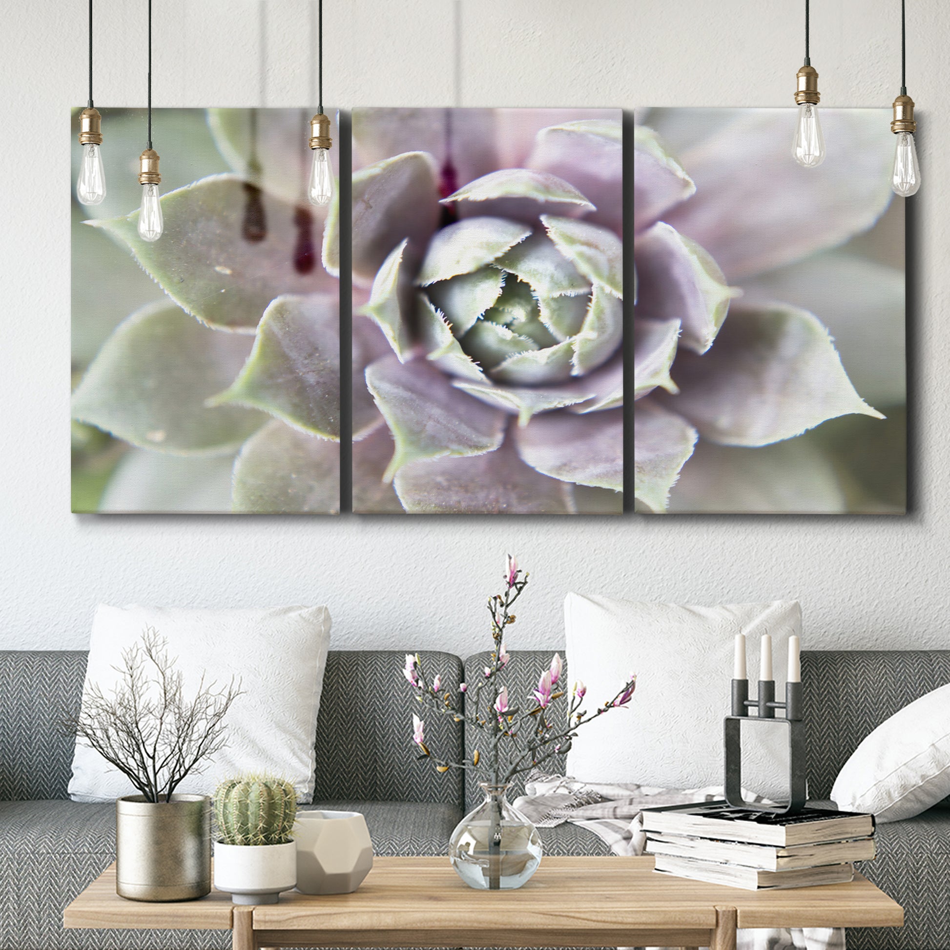 Three-panel canvas wall art featuring close up succulent photography, displayed in a modern living room above seating.