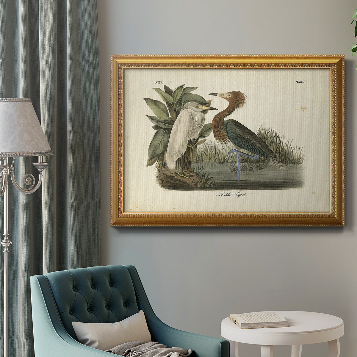 Audubons Reddish Egret Premium Framed Canvas- Ready to Hang