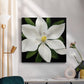 Midnight Magnolia I - Canvas Art Print