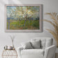 Orchard With Blossoming Apricot Trees - Ornate Framed Canvas Print