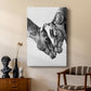 Equine Portrait VI - Canvas Art Print