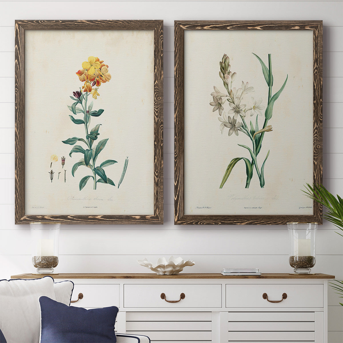 Traditional Botanical III - Premium Framed Canvas 2 Piece Set - Ready to Hang