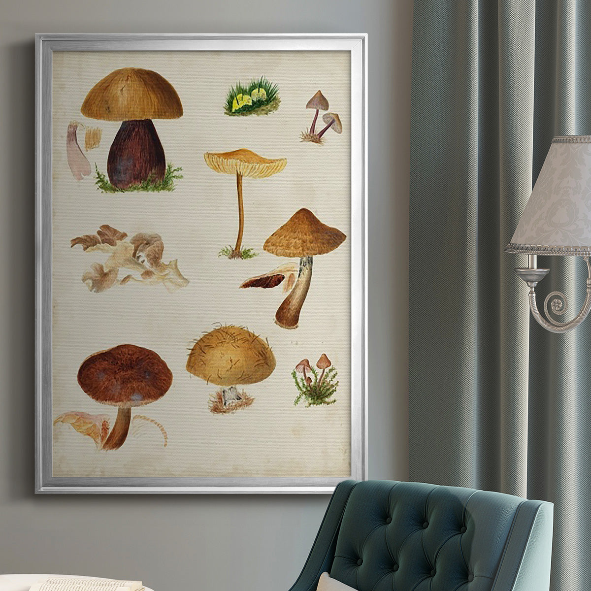 Mushroom Species II - Modern Framed Canvas Print