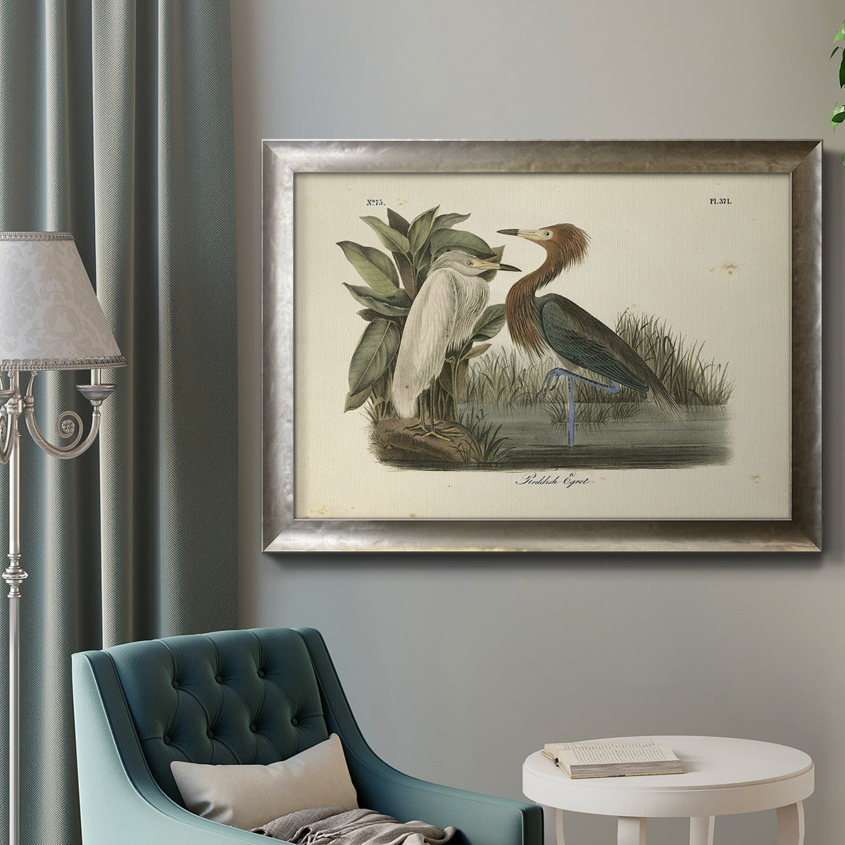 Audubons Reddish Egret Premium Framed Canvas- Ready to Hang