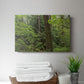 Calm of the Forest - Canvas Art Print