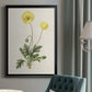 Flowers of the Seasons XII - Modern Framed Canvas Print