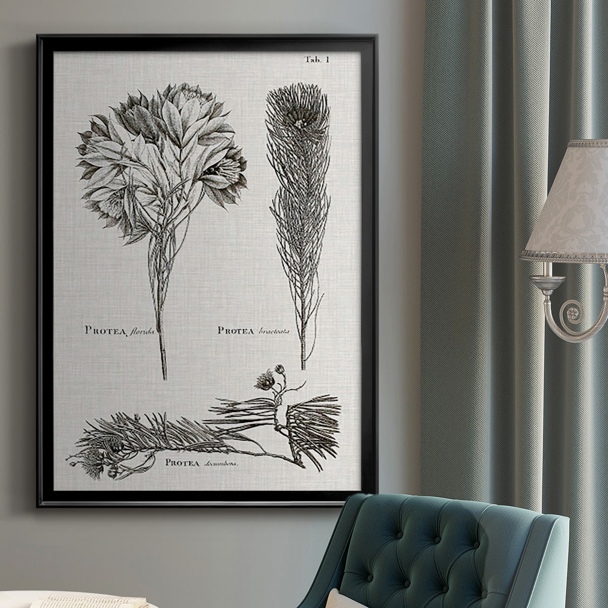 Black & White Protea on Linen I - Modern Framed Canvas Print