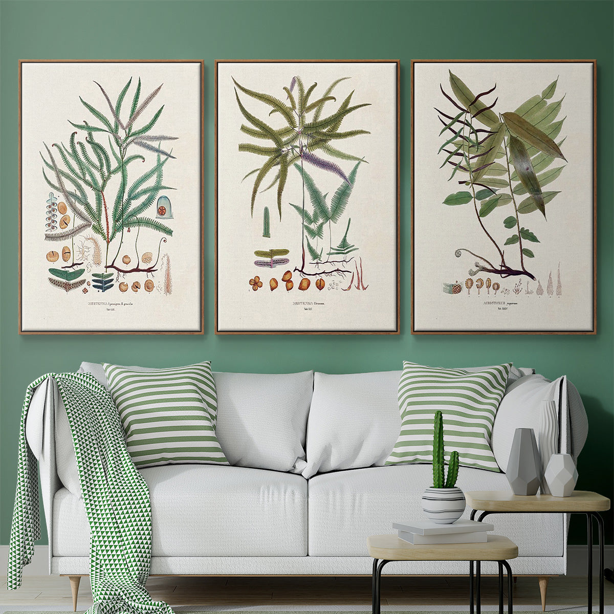 Botanical Society Ferns VI - Framed Premium Gallery Wrapped Canvas L Frame 3 Piece Set - Ready to Hang