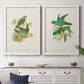 Lime & Cerulean Parrots I - Barnwood Framed Canvas Set