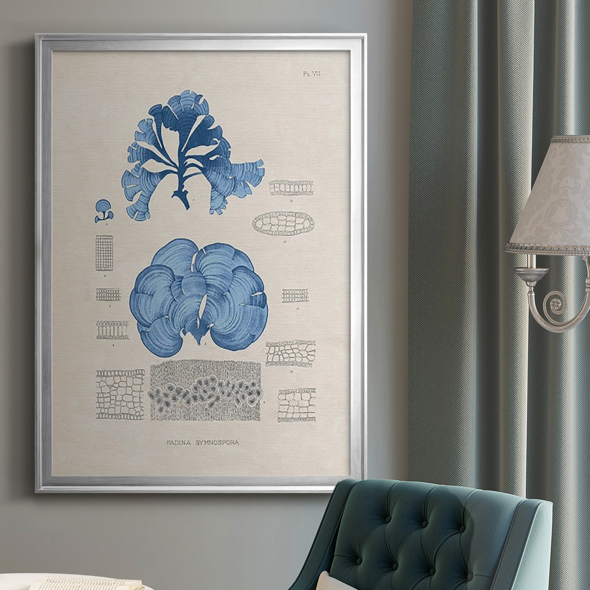 Blue Marine Algae IV -  Framed Canvas Print