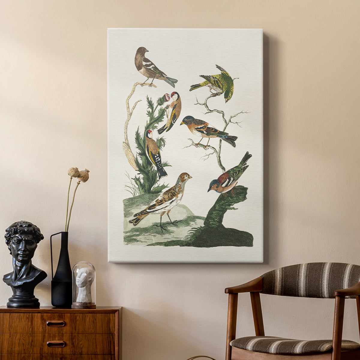 Antique Birds in Nature I - Canvas Art Print