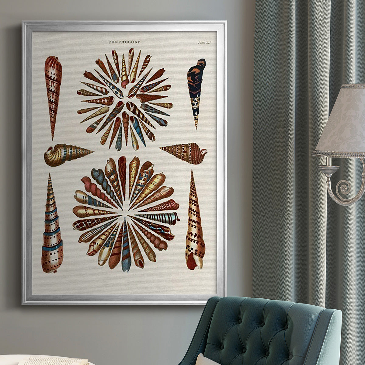 Spiral Shell Formation III - Modern Framed Canvas Print