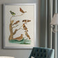 Antique Birds in Nature III - Modern Framed Canvas Print