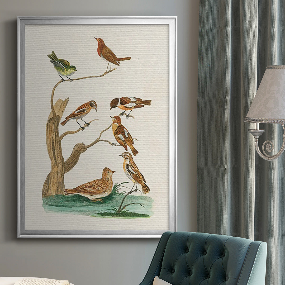 Antique Birds in Nature III - Modern Framed Canvas Print