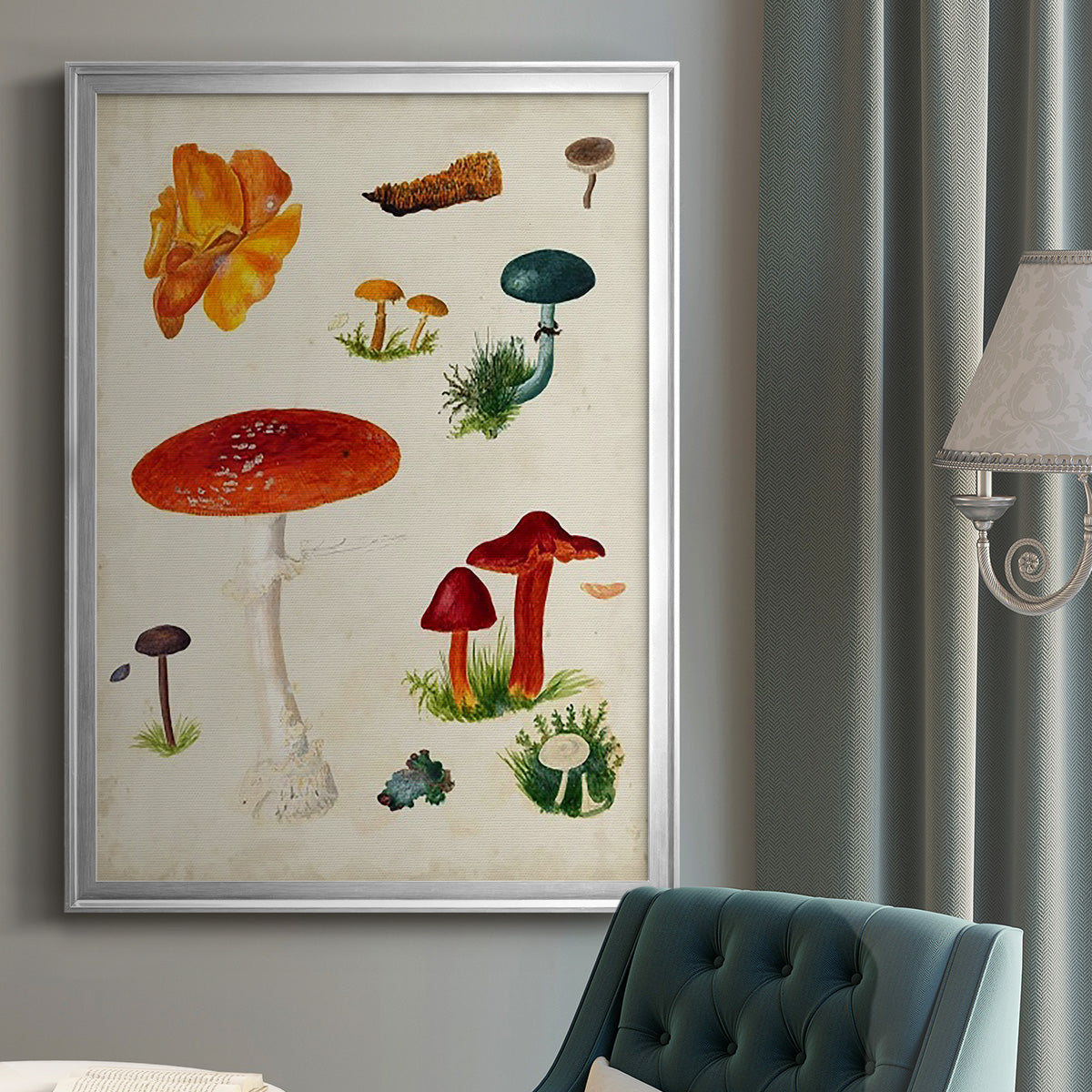 Mushroom Species VIII - Modern Framed Canvas Print