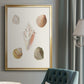 Pastel Knorr Shells IX - Modern Framed Canvas Print