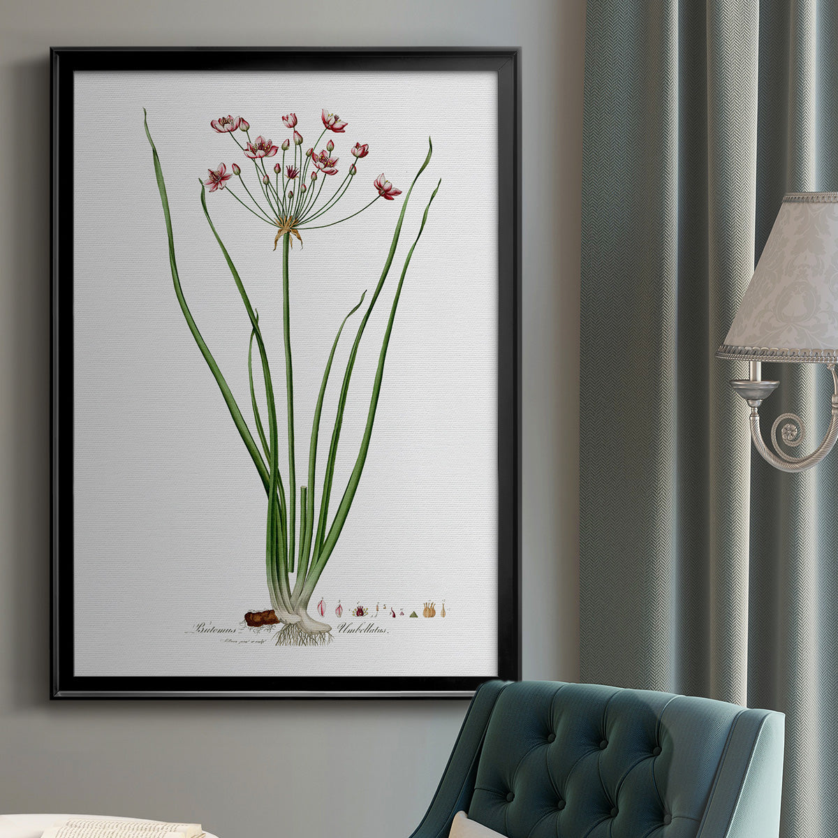 Rose Botanical II - Modern Framed Canvas Print