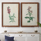 Set of two maple barnwood framed canvas prints depicting antique floral illustrations featuring a tall red bloom and a clustered mauve flower above a dining room sideboard.