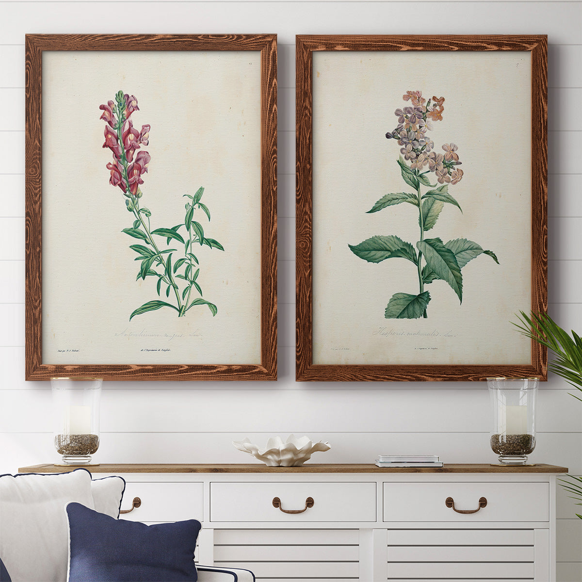 Set of two maple barnwood framed canvas prints depicting antique floral illustrations featuring a tall red bloom and a clustered mauve flower above a dining room sideboard.
