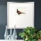 Pheasant Splash 1 Premium Framed Print Double Matboard