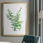 Eucalyptus III - Modern Framed Canvas Print