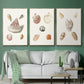 Pastel Knorr Shells IV - Framed Premium Gallery Wrapped Canvas L Frame 3 Piece Set - Ready to Hang