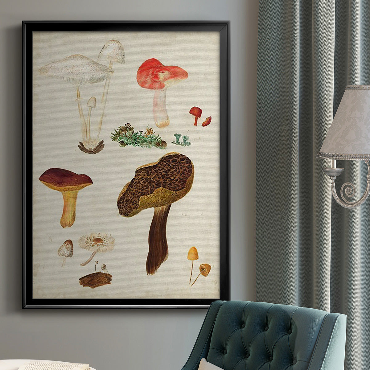 Mushroom Species XI - Modern Framed Canvas Print