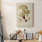 Mushroom Varieties VIII Premium Gallery Wrapped Canvas - Ready to Hang