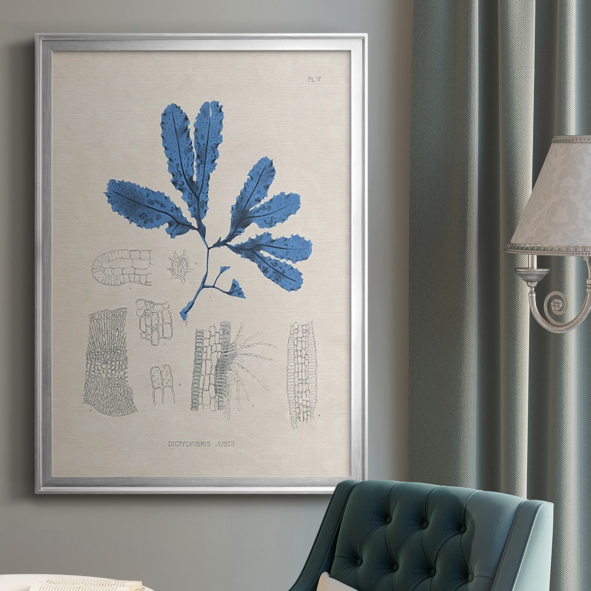 Blue Marine Algae VII - Modern Framed Canvas Print