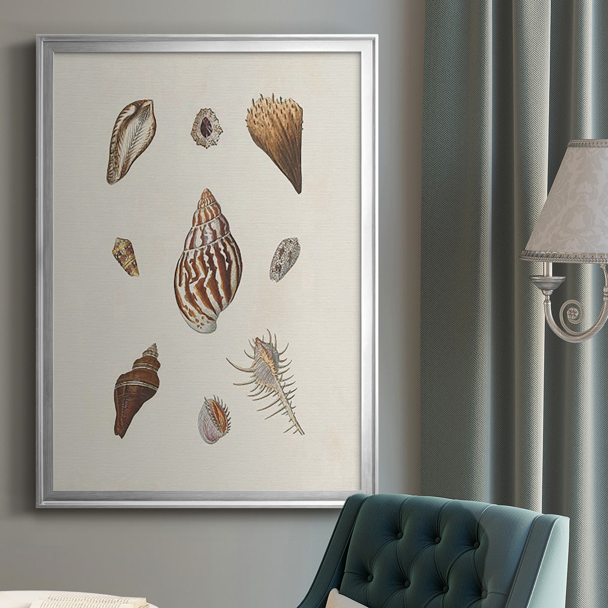 Knorr Shells & Coral IX - Modern Framed Canvas Print
