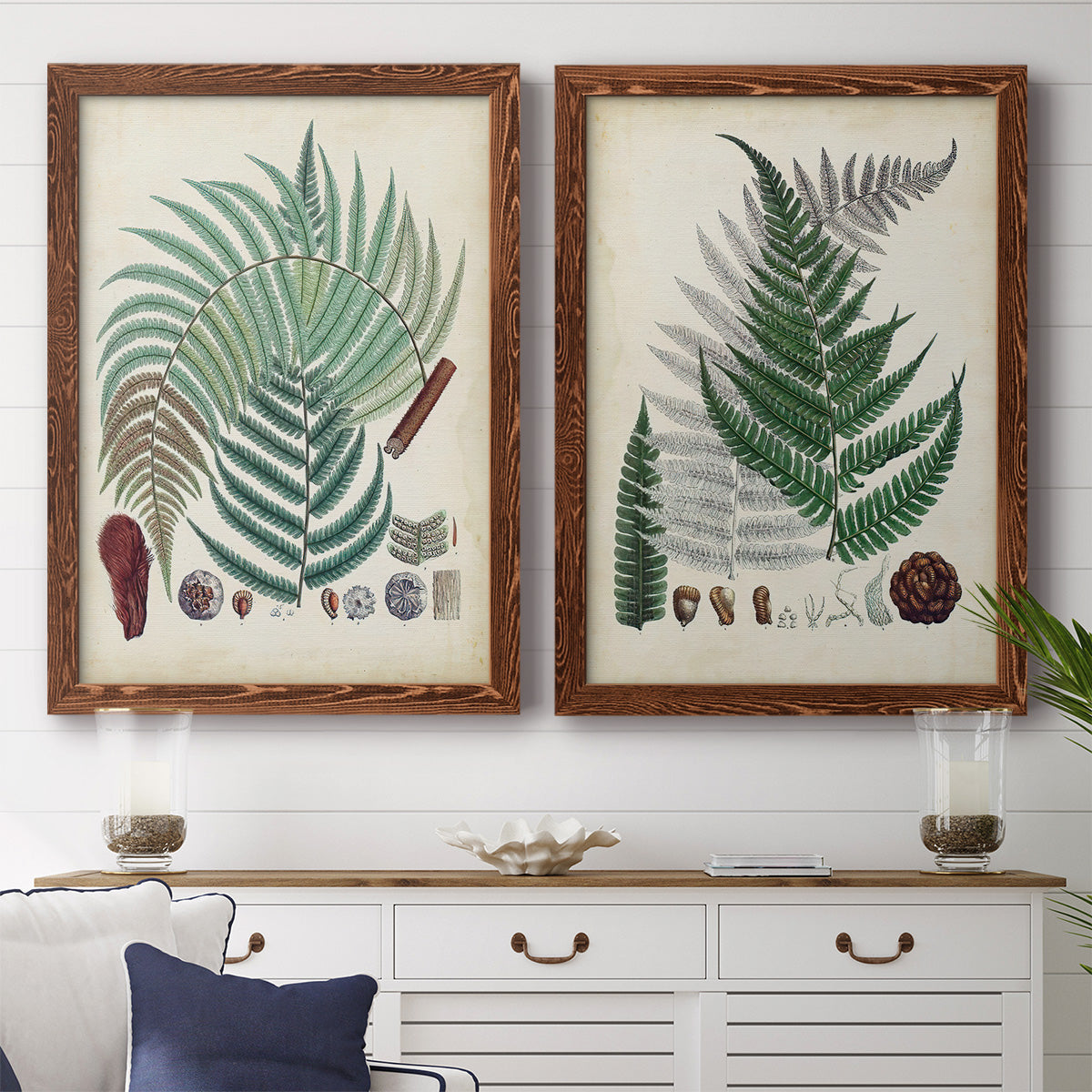 Set of two maple barnwood framed canvas prints depicting a coordinated art pair of vintage fern specimens with botanical details rendered as natural-history fern plates above a dining room sideboard.