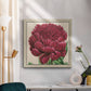 Peony Collection V - Canvas Art Print