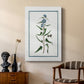 Shabby Chic Botanical I - Canvas Art Print