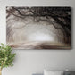 Timeless Plantation Drive Premium Gallery Wrapped Canvas - Ready to Hang