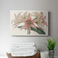 Amaryllis Varietals I - Canvas Art Print