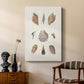 Knorr Shells & Coral VI - Canvas Art Print