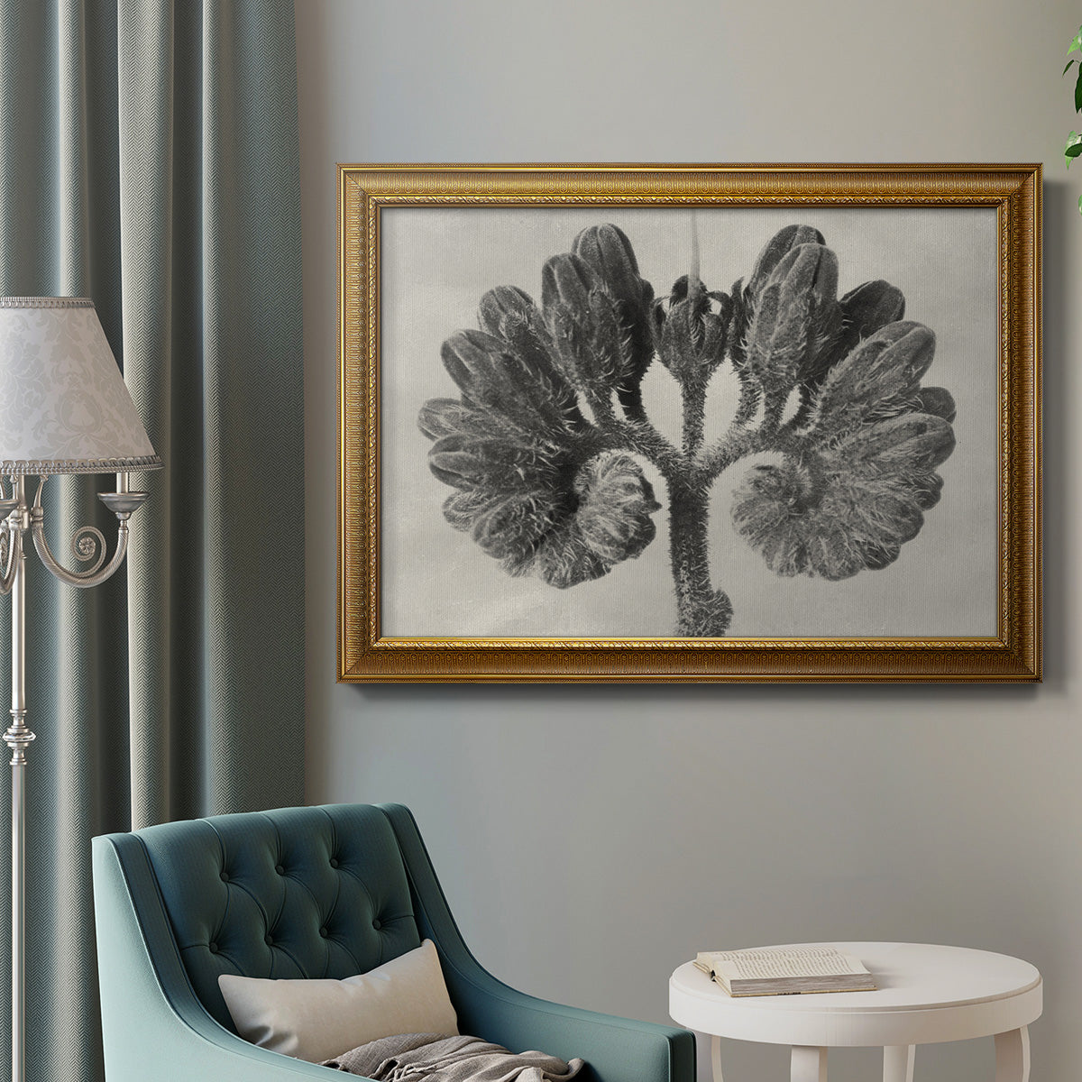 Blossfeldt Botanical VIII Premium Framed Canvas- Ready to Hang