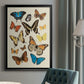 Collected Flutter II - Modern Framed Canvas Print