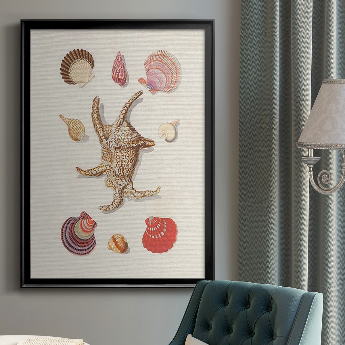 Knorr Shells & Coral II - Modern Framed Canvas Print