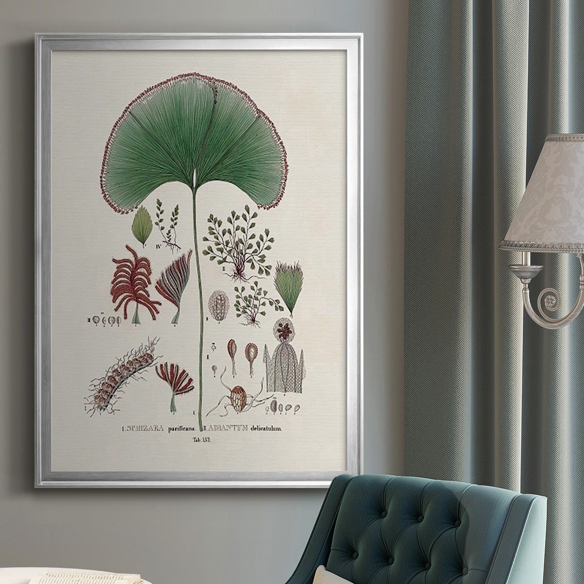 Botanical Society Ferns III - Modern Framed Canvas Print