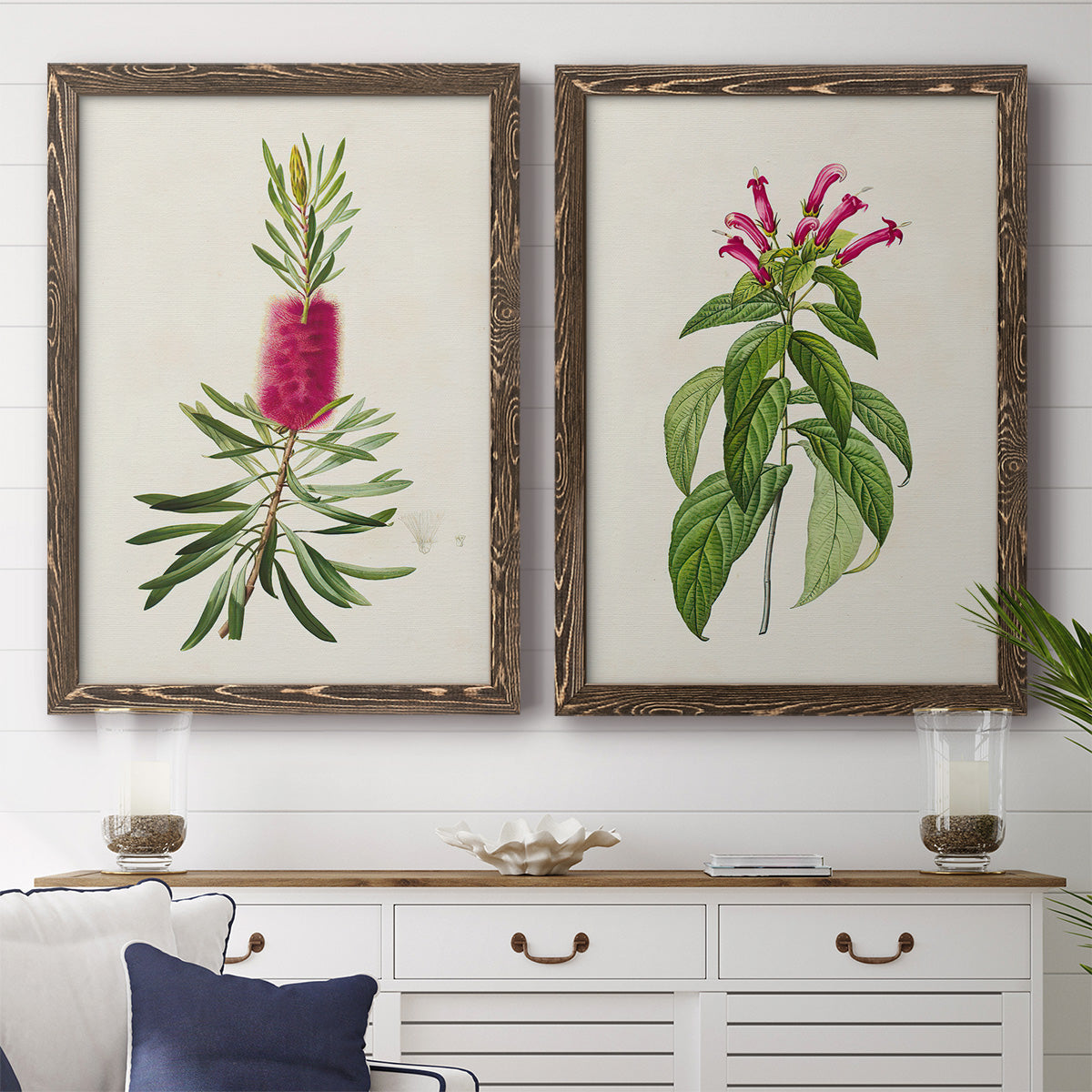 Set of two walnut barnwood framed canvas prints depicting a coordinated art pair of pink flowering plant specimens rendered as vintage botanical plate illustrations above a dining room sideboard.