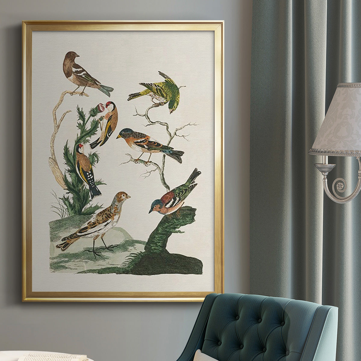 Antique Birds in Nature I - Modern Framed Canvas Print