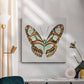 Mint Butterfly I - Canvas Art Print