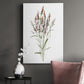 Dainty Botanical III - Canvas Art Print