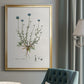 Bellflower Study - Modern Framed Canvas Print