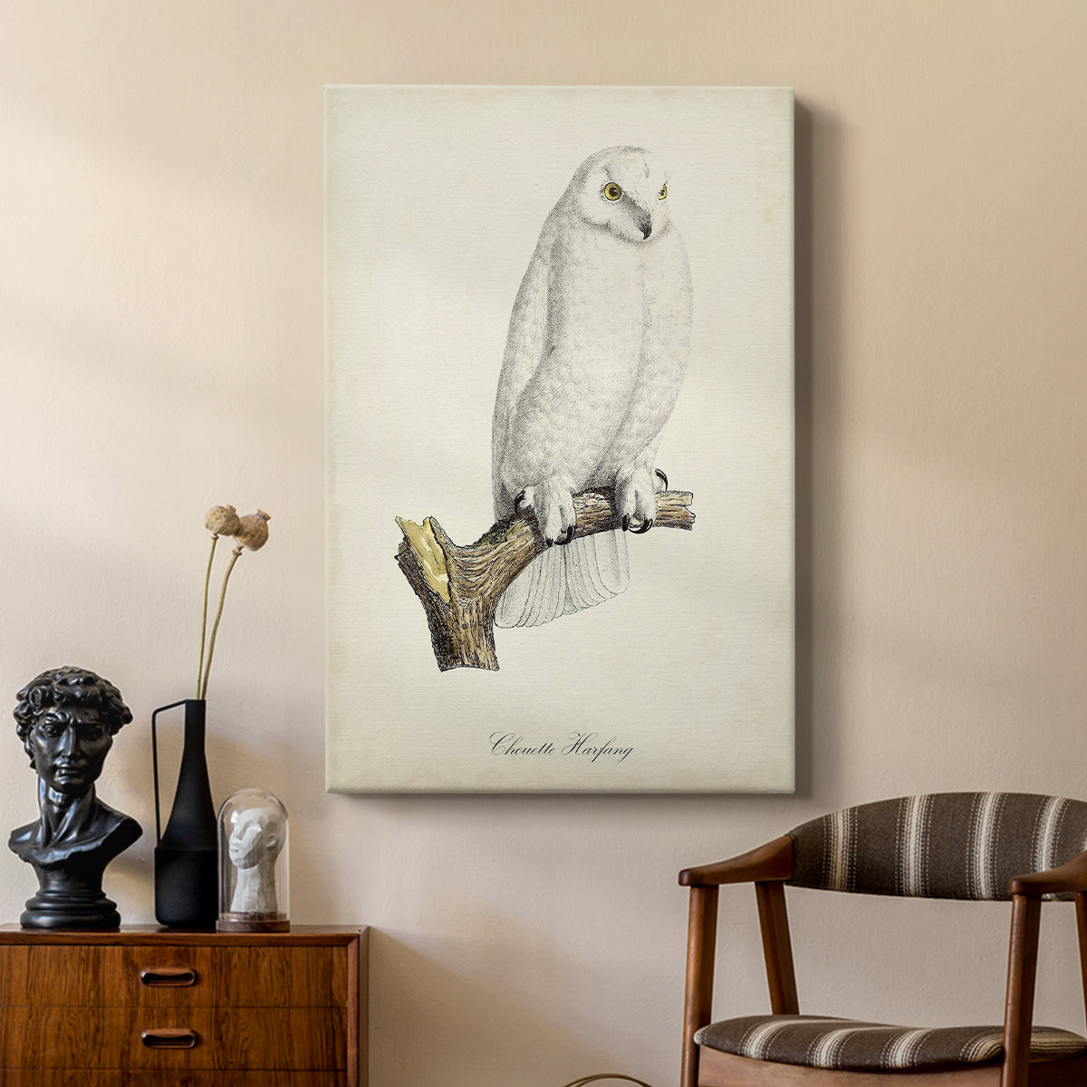 French Owls IV - Canvas Art Print
