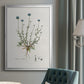 Bellflower Study - Modern Framed Canvas Print